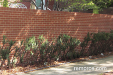 solid-brick-privacy-fence